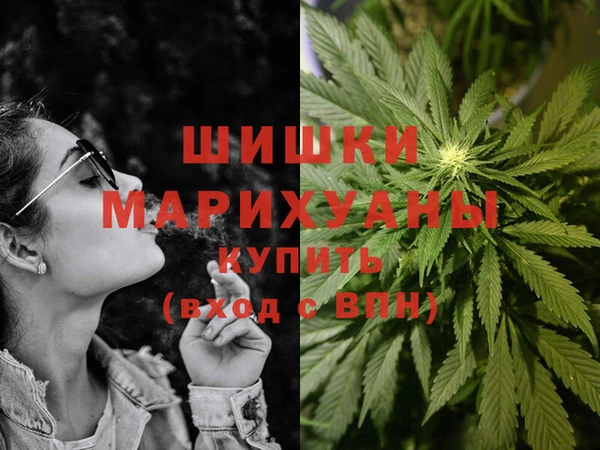 гашик Гусиноозёрск