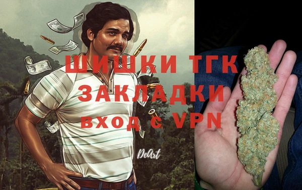 гашик Гусиноозёрск