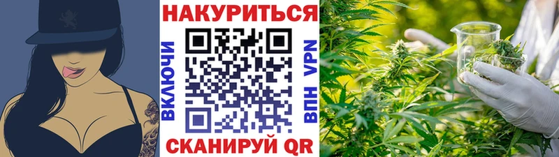 Канабис конопля  Невель 